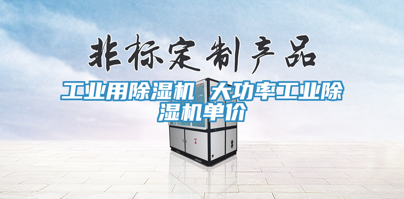 工業用91看片网站 大功率工業91看片网站單價