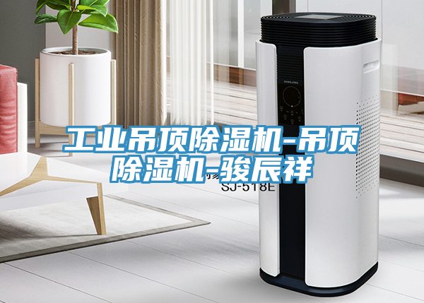 工業吊頂91看片网站-吊頂91看片网站-駿辰祥