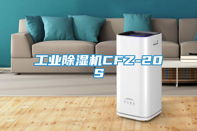 工業91看片网站CFZ-20S
