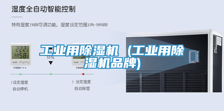 工業用91看片网站 (工業用91看片网站品牌)