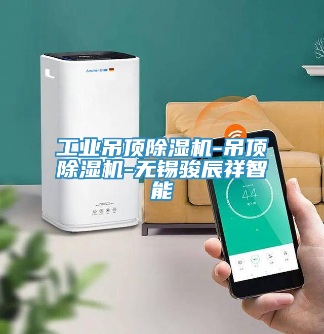 工業吊頂91看片网站-吊頂91看片网站-無錫駿辰祥智能