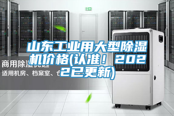 山東工業用大型91看片网站價格(認準！2022已更新)