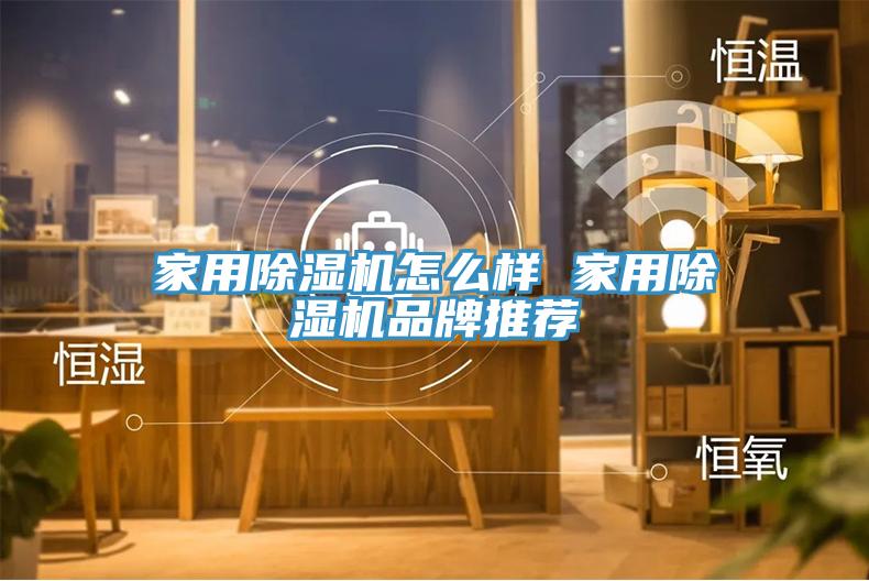 家用91看片网站怎麽樣 家用91看片网站品牌推薦