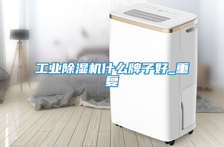 工業91看片网站什麽牌子好_重複