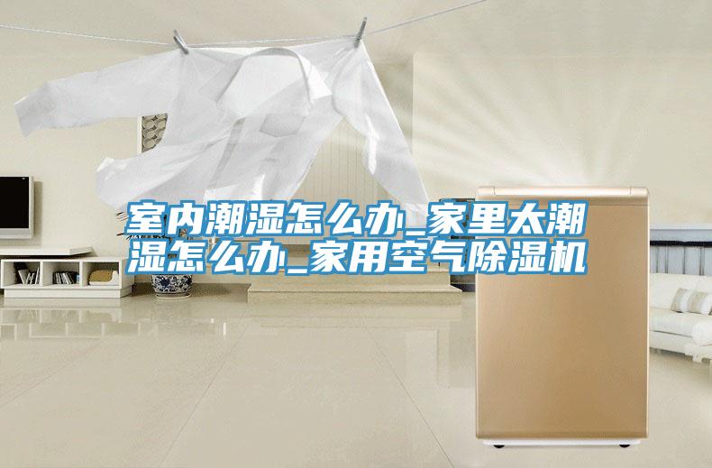 室內潮濕怎麽辦_家裏太潮濕怎麽辦_家用空氣91看片网站