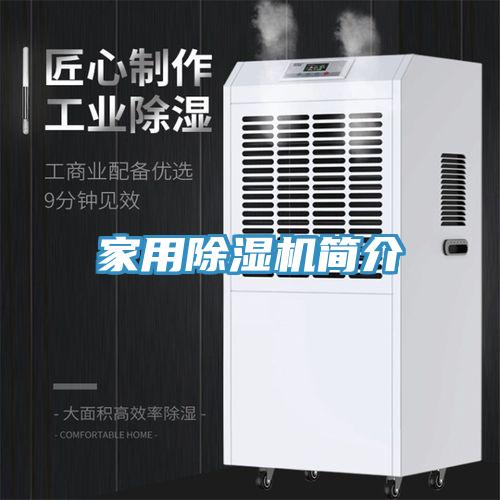 家用91看片网站簡介