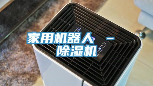 家用機器人 – 91看片网站