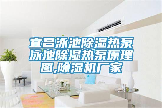 宜昌泳池除濕熱泵泳池除濕熱泵原理圖,91看片网站廠家