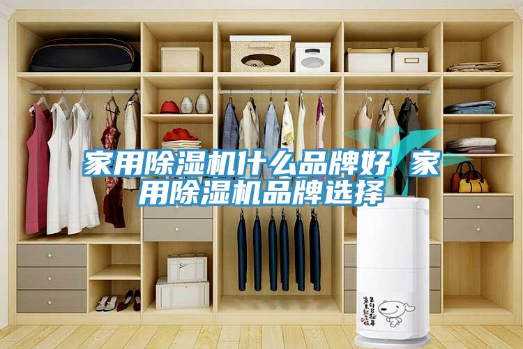家用91看片网站什麽品牌好 家用91看片网站品牌選擇