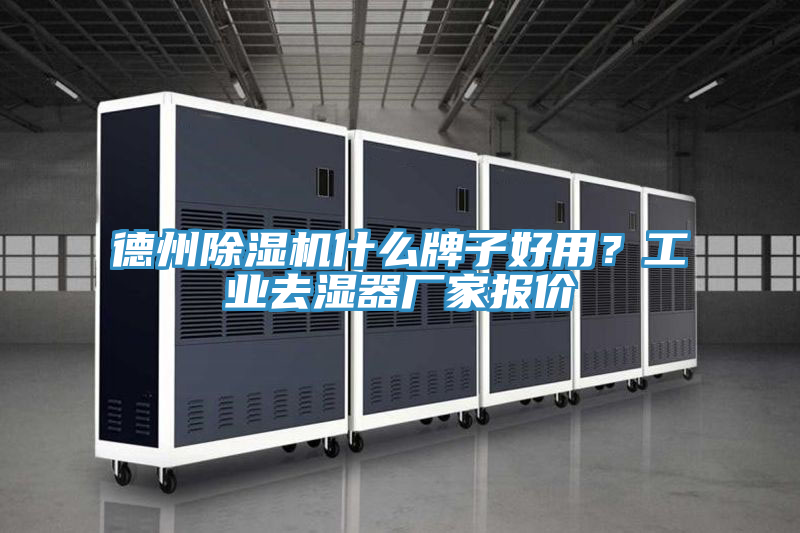 德州91看片网站什麽牌子好用？工業去濕器廠家報價