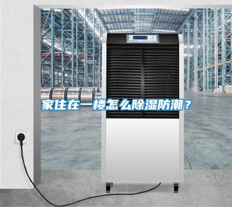 家住在一樓怎麽除濕防潮？