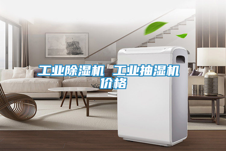 工業91看片网站 工業抽濕機 價格
