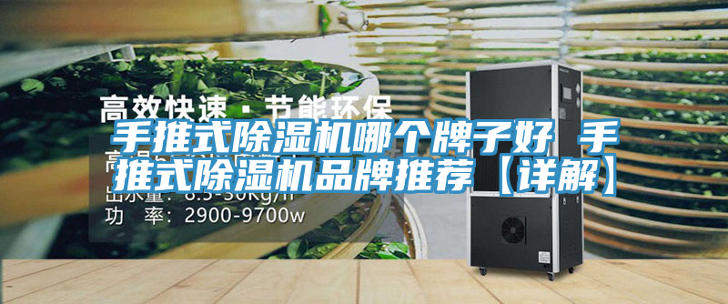 手推式91看片网站哪個牌子好 手推式91看片网站品牌推薦【詳解】