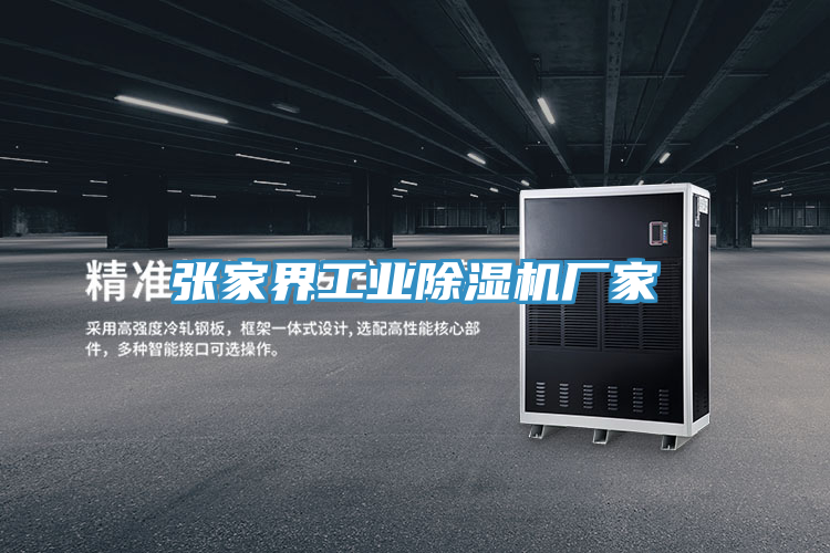 張家界工業91看片网站廠家