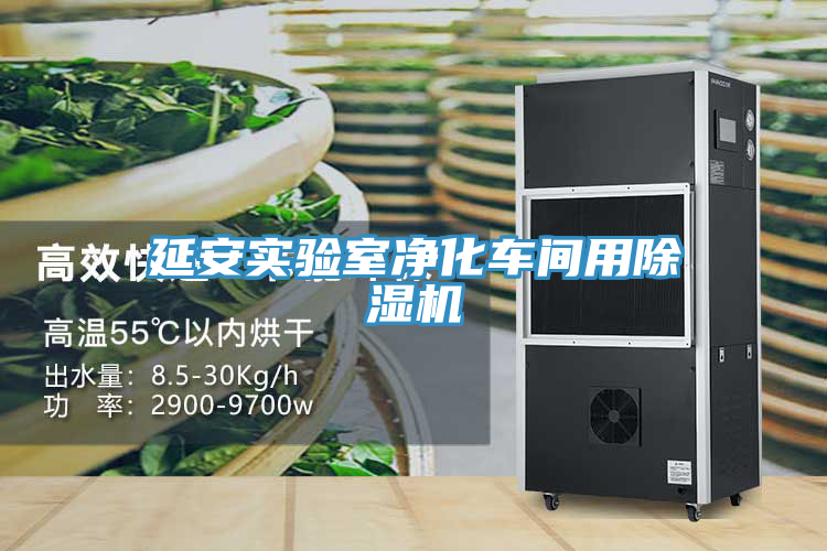 延安實驗室淨化車間用91看片网站