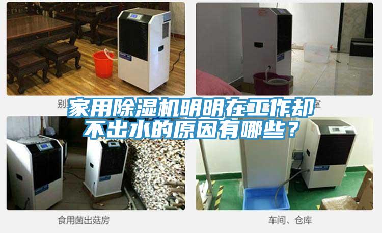 家用91看片网站明明在工作卻不出水的原因有哪些？