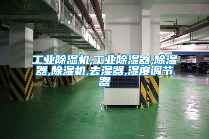 工業91看片网站,工業除濕器,除濕器,91看片网站,去濕器,濕度調節器