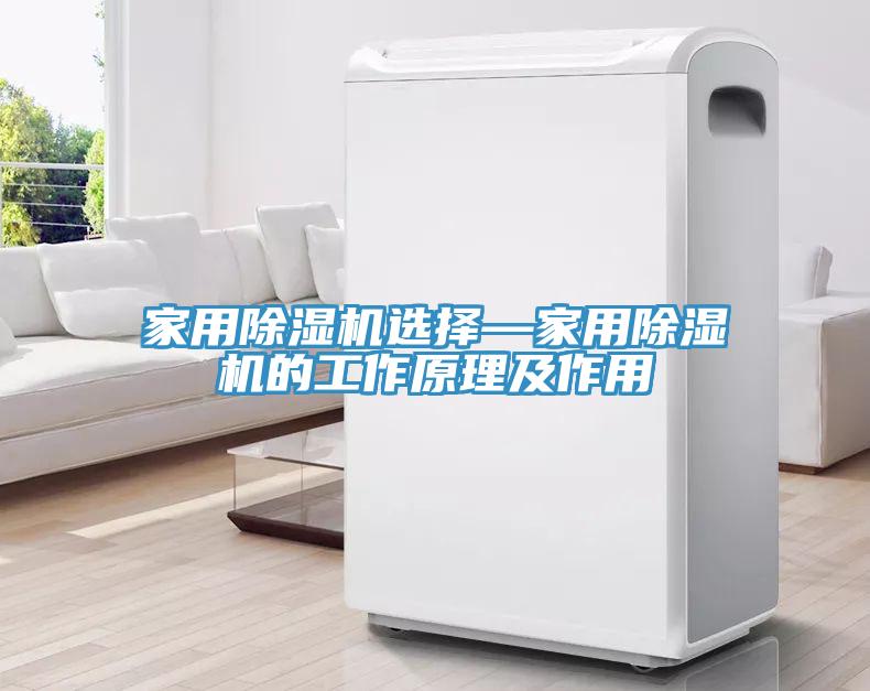 家用91看片网站選擇—家用91看片网站的工作原理及作用
