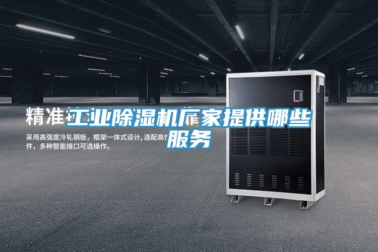 工業91看片网站廠家提供哪些服務