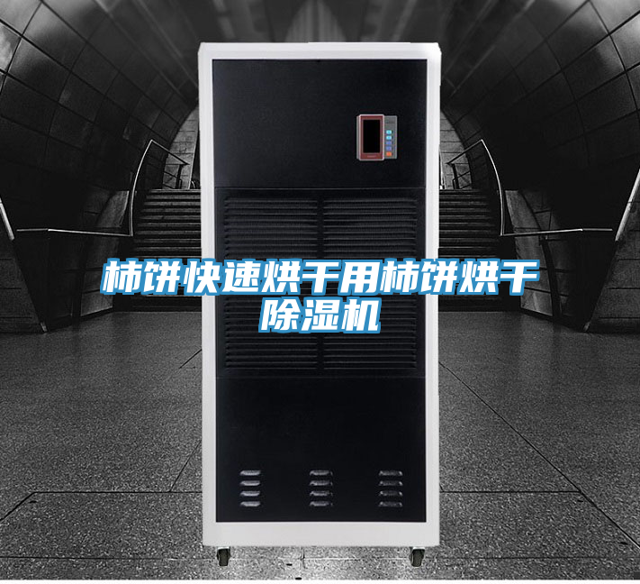 柿餅快速烘幹用柿餅烘幹91看片网站