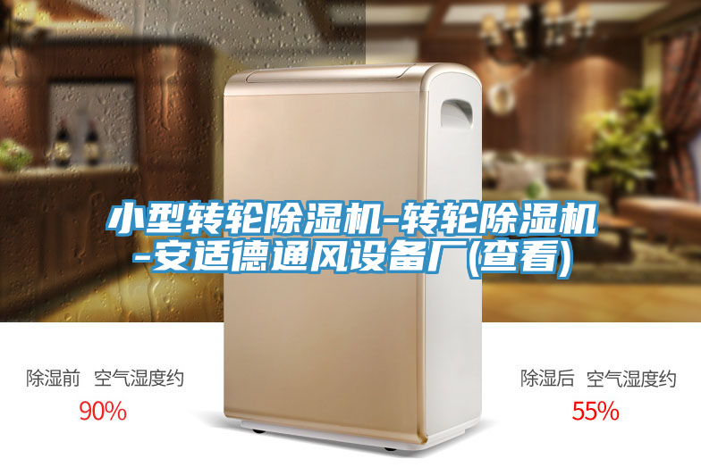 小型轉輪91看片网站-轉輪91看片网站-安適德通風設備廠(查看)