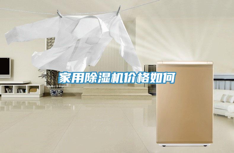 家用91看片网站價格如何
