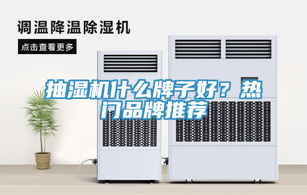 抽濕機什麽牌子好？熱門品牌推薦