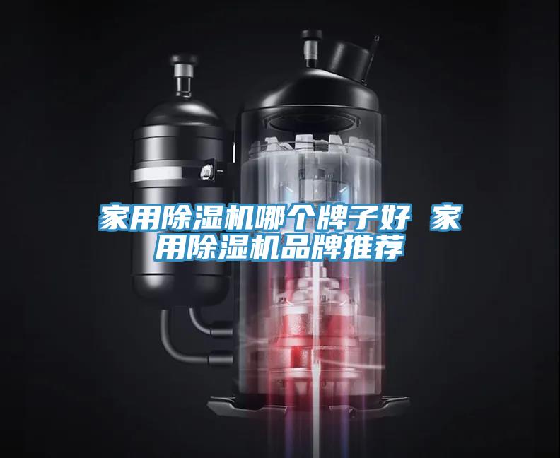 家用91看片网站哪個牌子好 家用91看片网站品牌推薦