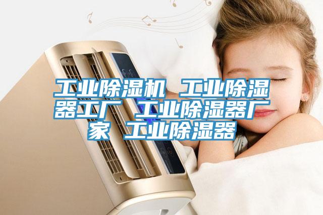 工業91看片网站 工業除濕器工廠 工業除濕器廠家 工業除濕器