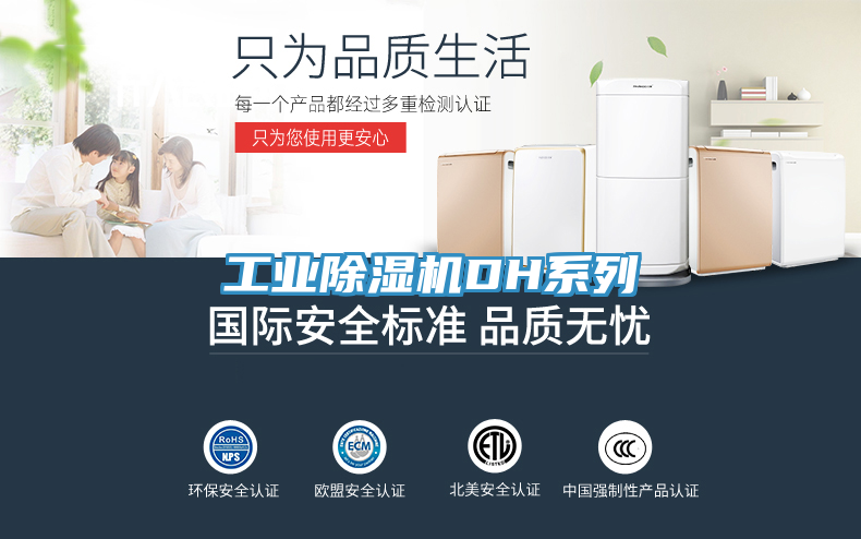 工業91看片网站DH係列