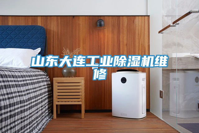 山東大連工業91看片网站維修