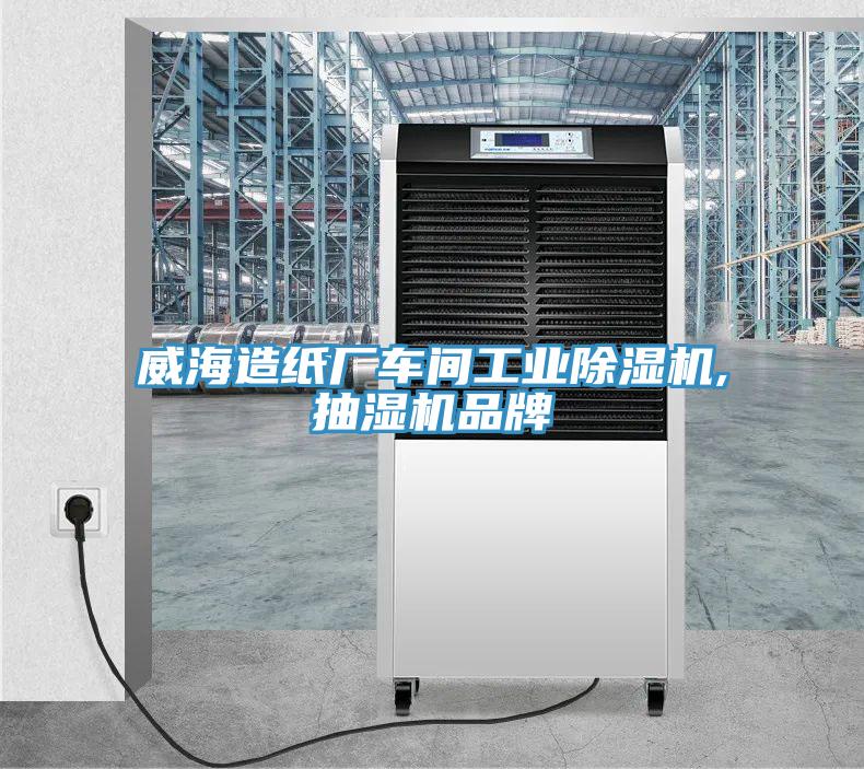 威海造紙廠車間工業91看片网站,抽濕機品牌