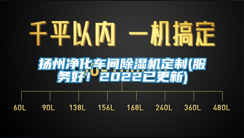 揚州淨化車間91看片网站定製(服務好！2022已更新)