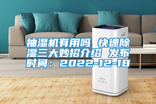抽濕機有用嗎 快速除濕三大妙招介紹 發布時間：2022-12-18