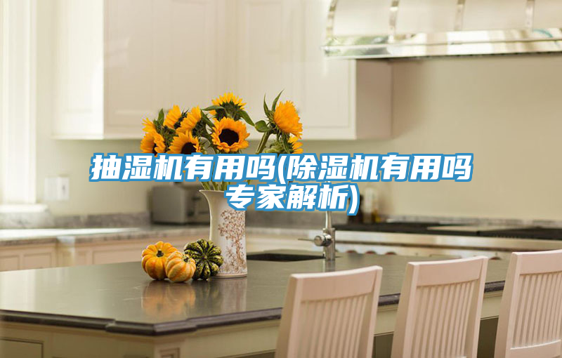 抽濕機有用嗎(91看片网站有用嗎 專家解析)