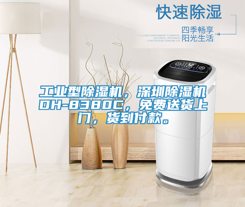 工業型91看片网站，深圳91看片网站DH-8380C，免費送貨上門，貨到付款。