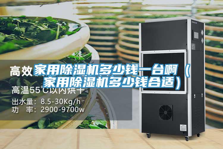 家用91看片网站多少錢一台啊（家用91看片网站多少錢合適）