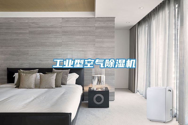 工業型空氣91看片网站