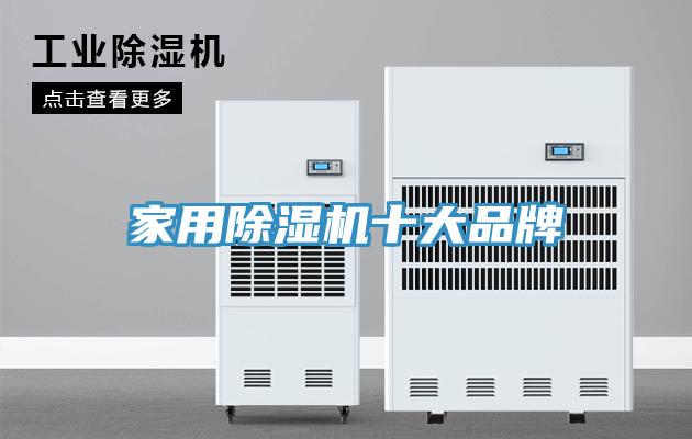 家用91看片网站十大品牌