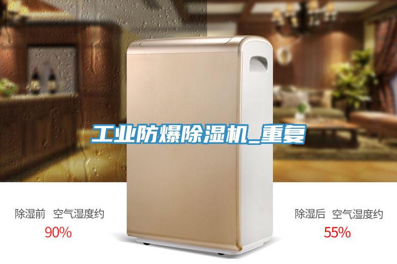 工業防爆91看片网站_重複
