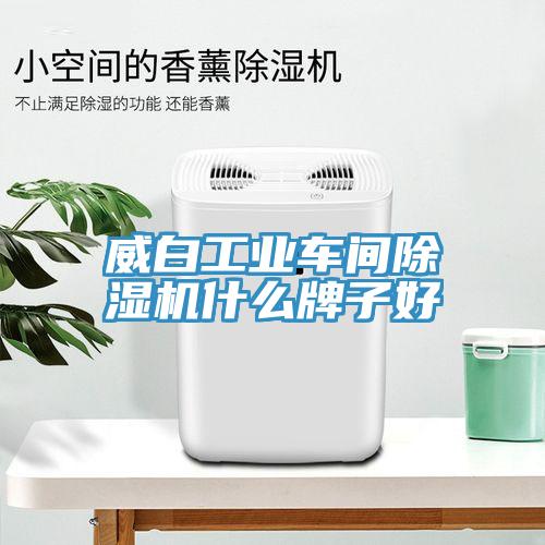 威白工業車間91看片网站什麽牌子好