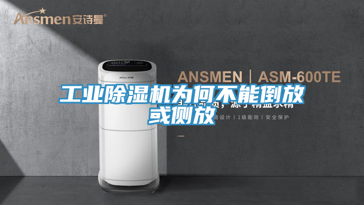 工業91看片网站為何不能倒放或側放