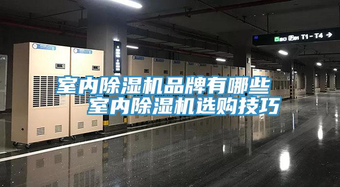 室內91看片网站品牌有哪些   室內91看片网站選購技巧