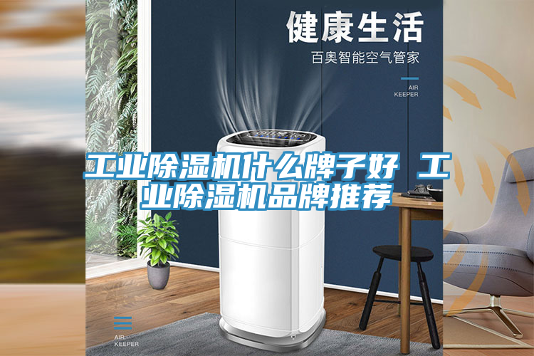 工業91看片网站什麽牌子好 工業91看片网站品牌推薦