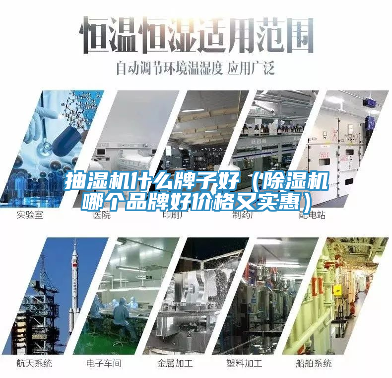抽濕機什麽牌子好（91看片网站哪個品牌好價格又實惠）