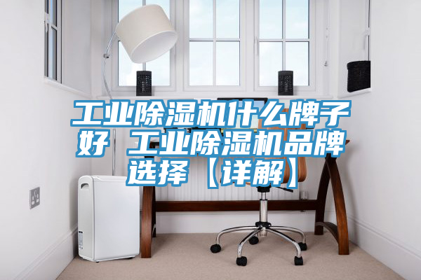 工業91看片网站什麽牌子好 工業91看片网站品牌選擇【詳解】