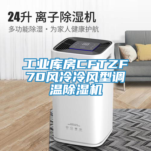 工業庫房CFTZF70風冷冷風型調溫91看片网站