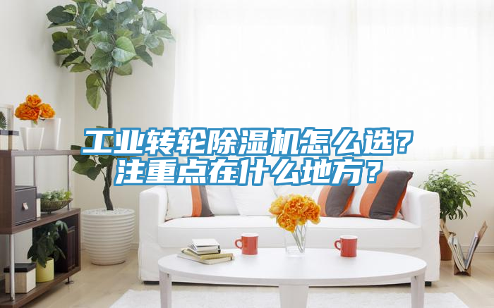工業轉輪91看片网站怎麽選？注重點在什麽地方？