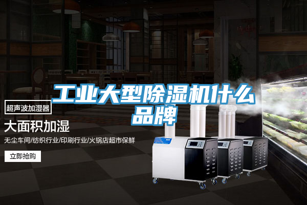 工業大型91看片网站什麽品牌