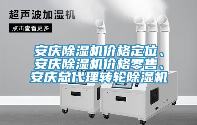 安慶91看片网站價格定位、安慶91看片网站價格零售、安慶總代理轉輪91看片网站